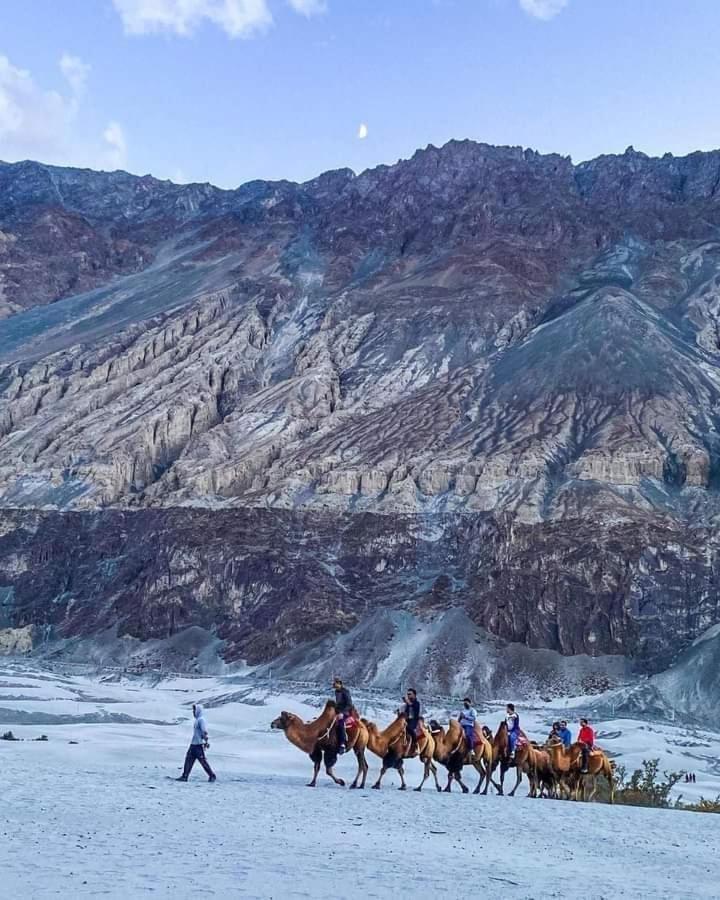 Hotel Nubra Residency Charāsa エクステリア 写真